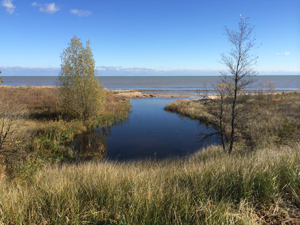 As a boy I played with water where a creek flowed into Lake Michigan and built dams and levees and dug canals and wells