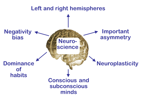 Figure 5. These features and functions of the human brain are relevant to working smarter and enhancing creativity and innovation. Figure 5. These features and functions of the human brain are relevant to working smarter and enhancing creativity and innovation.